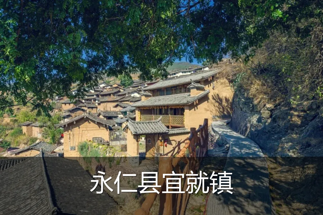 永仁县宜就镇